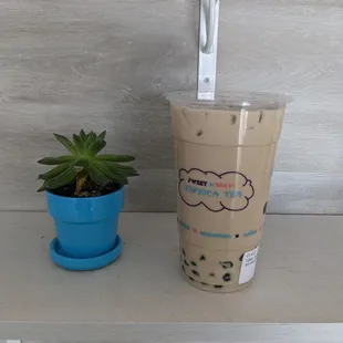 Lychee Milk Tea