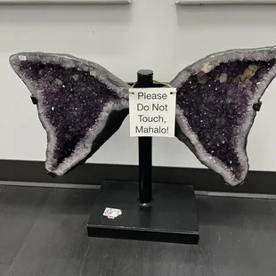 Beautiful crystal butterfly wings.
