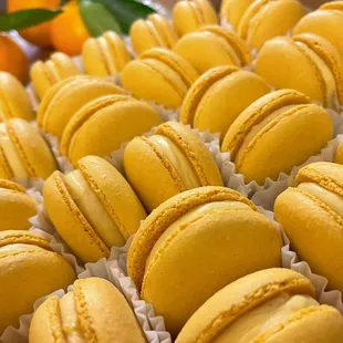 Durian macaron.