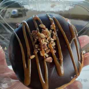 Turtle doughnut