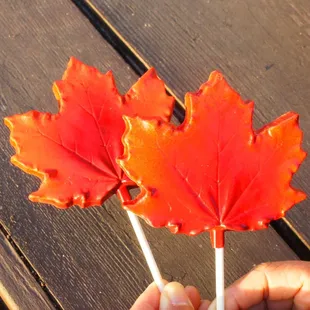 Falling Leaves lollipops