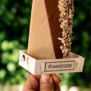 Pinenut, chocolate dipped with pecans.