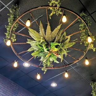 a plant hanging from a circular chandelier