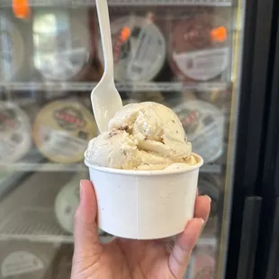 Can I get a single of Health Bar Crunch and Marble Butter Scotch, please?   My family loves daily ice cream dates.