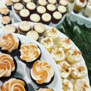 a variety of cupcakes on display