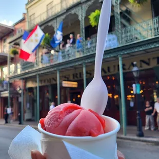 Vegan ponchatoula strawberry