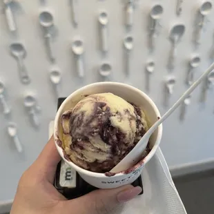 Lil Guy scoop of sweet corn blueberry
