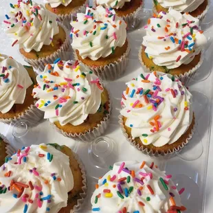Sweet September Cupcakes