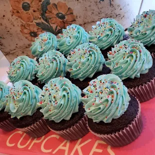 Classic Chocolate with vanilla buttercream and sprinkles