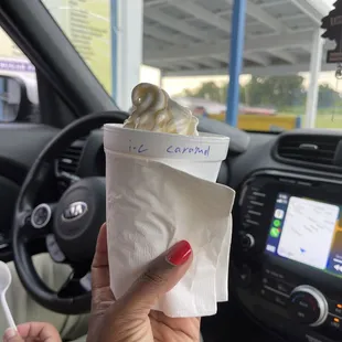 a hand holding a cup of ice cream