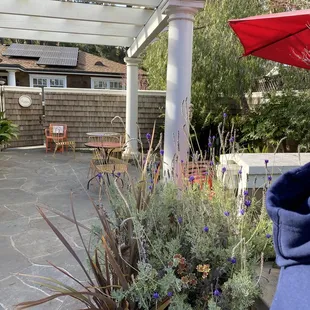 Relaxing courtyard to enjoy your yogurt, drink, candy or lunch items.