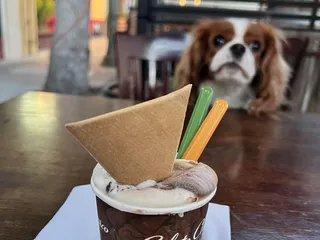 Gelato Classico Italian Ice Cream