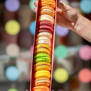 Step into a world of macaron enchantment