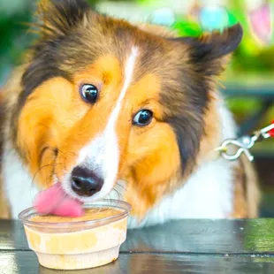We have dog ice cream! Check out our pup meet-up the second Thursday of every month.