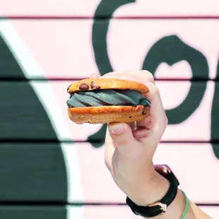 Ice cream sandwich