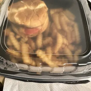 a hamburger and french fries in a plastic container