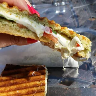 Delicious tomato mozzarella panini