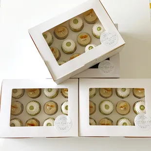two boxes of cupcakes