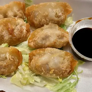 Gyoza