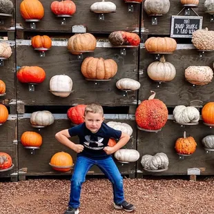a young boy in front of a display of pumpkins