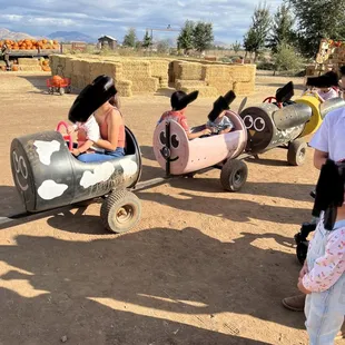 The kiddo tractor ride -yes it has seatbelts