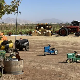 Pumpkin patch and activities