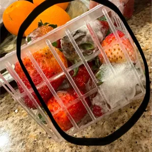 MOLD ON STRAWBERRIES
