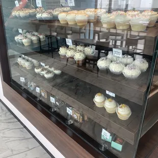 Cupcake case