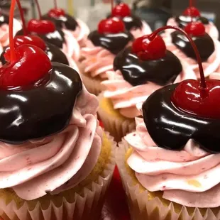 cupcakes with cherry on top
