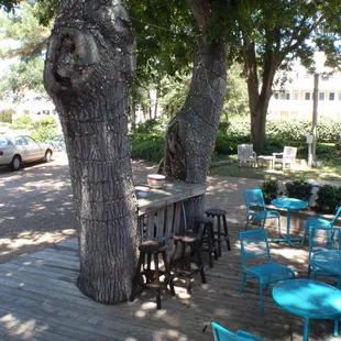 Under the Tree&apos;s.