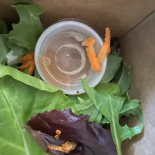 Fresh Organic Field Salad