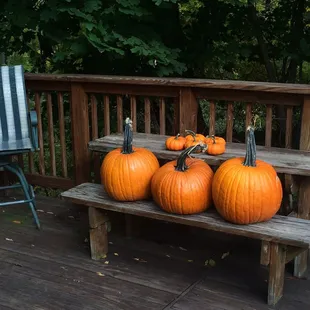 These pumpkins were only $4 each!