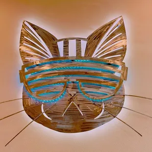 Cool Cat