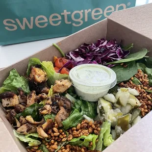 Crispy chicken salad. This is an app only exclusive salad.