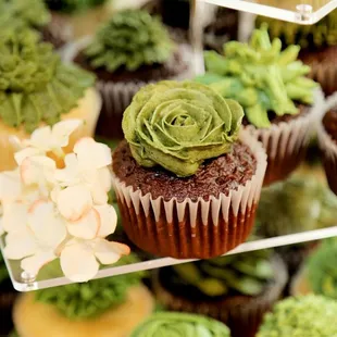 a variety of cupcakes