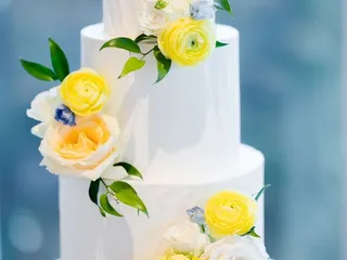 Tampa Bay Cake Company