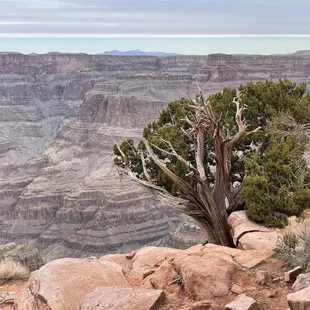 View from Eagle Point.