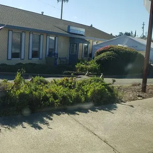 On the corner of Bowman and Luther