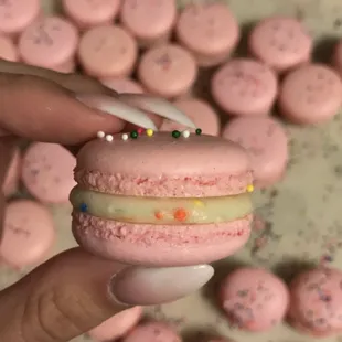 French macaron