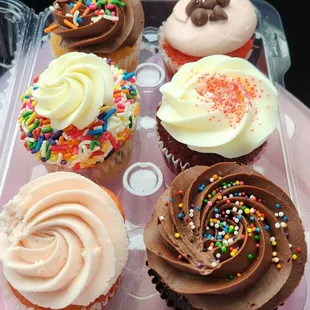 6 Pack of assorted cupcakes, did not disappoint