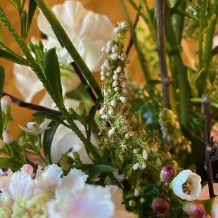 Brittle and dry. This was delivered a couple hours before this pic.