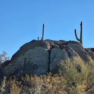Black Rock resembles a Butt Crack