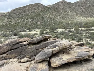 Wild Burro Trailhead