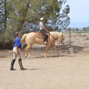 Monica Whitmer's traditional dressage background makes her a great instructor for the growing sport of Western Dressage