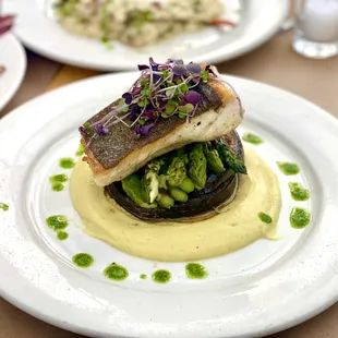 Fish of the Day - Halibut