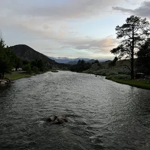 View from bridge