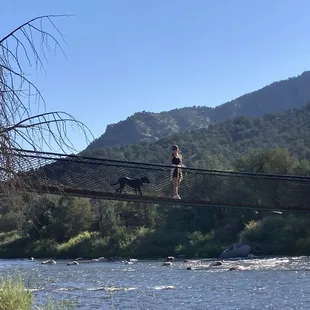 Bridge was definitely a fun experience!