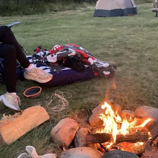 Firewood was affordable and necessary!