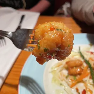 Firecracker Shrimp (5/5)