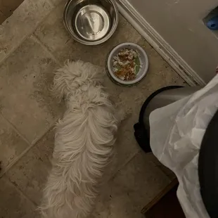 Princess enjoying the mystery fish